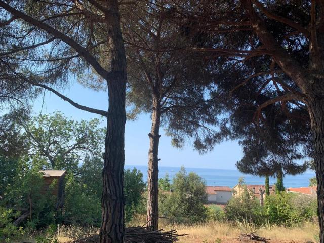 Terreno en venta en Sant Pol de Mar photo 0