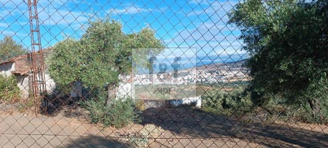 Terreno en venta en Plasencia, SANTA BARBARA, 10600 photo 0