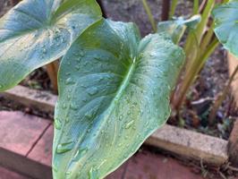 Casa en venta en Cardedeu, Poble Sec photo 0