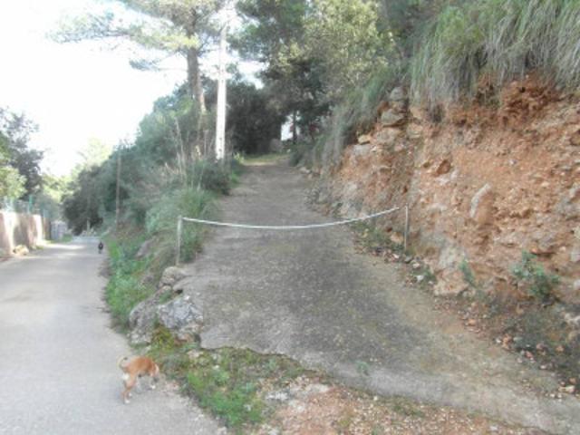 Casa con terreno en venta en Puigpunyent, Puigpunyent photo 0
