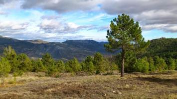 Terreno en venta en Moratalla, Carretera de Caravaca, 30440 photo 0