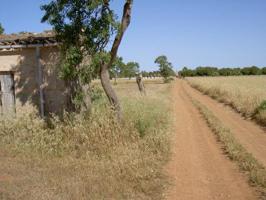 Casa con terreno en venta en Campos, Son Catlar polígono 20 parcela 99, 99, 07630 photo 0