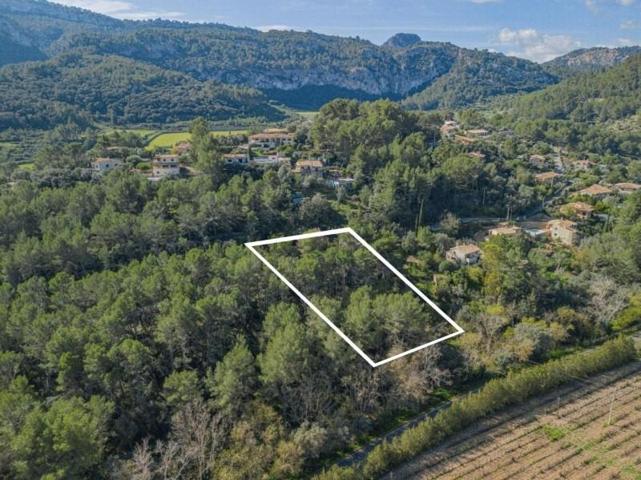 Terreno en venta en Puigpunyent, Son serralta photo 0