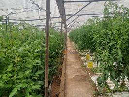 Casa con terreno en venta en Roquetas de Mar, Aguadulce norte photo 0