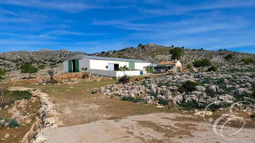 Casa con terreno en venta en Zafarraya, Rincón de los Reinas, 18128 photo 0