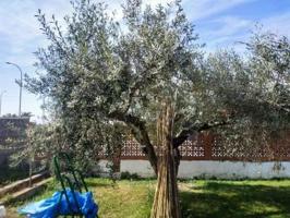 Chalet en venta en Burriana, - Camino de Onda - Salesianos - Centro photo 0