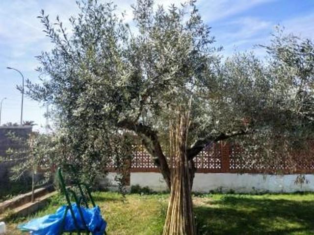 Chalet en venta en Burriana, - Camino de Onda - Salesianos - Centro photo 0