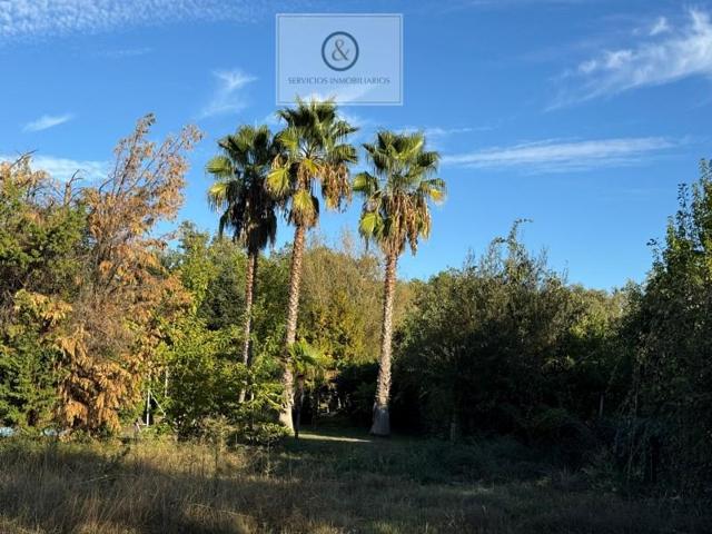 Chalet en venta en Candeleda photo 0