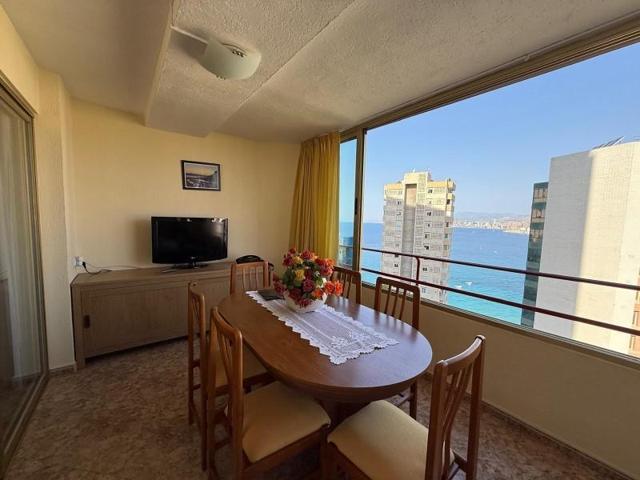 Apartamento en venta en Benidorm, Levante photo 0