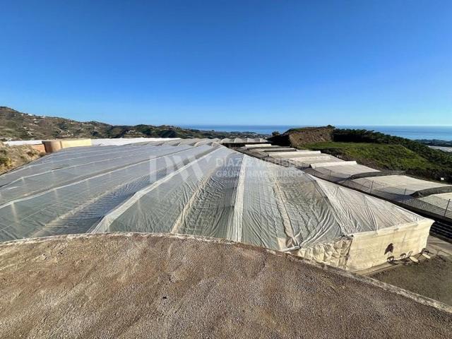 Terreno en venta en Algarrobo photo 0