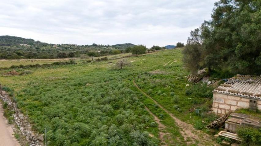 Terreno en venta en Son Servera, Son Servera photo 0