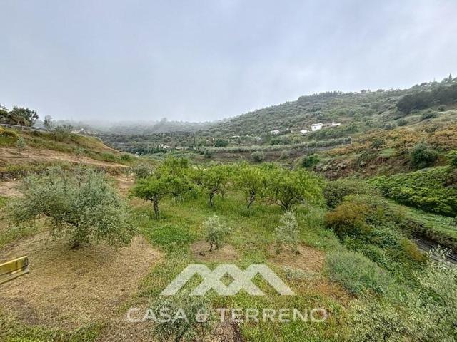 Local comercial en venta en Arenas photo 0