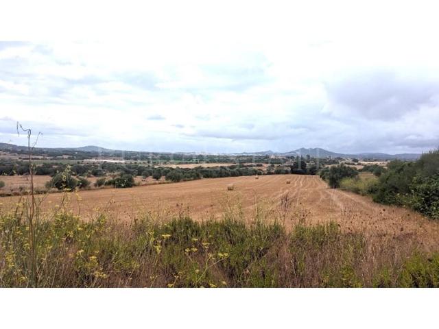 Terreno en venta en Manacor photo 0