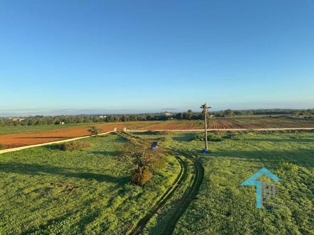 Terreno en venta en Felanitx, Son valls photo 0