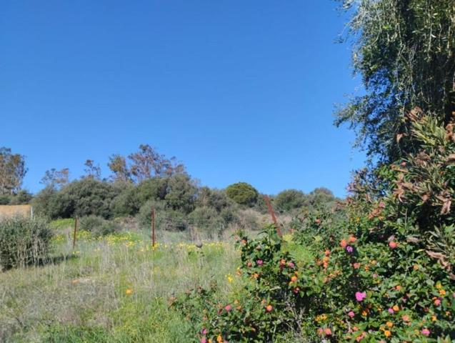 Terreno en venta en Benalup-Casas Viejas, Benalup Casas Viejas photo 0