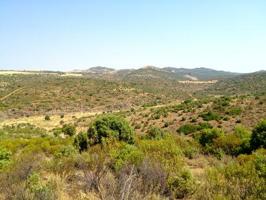 Terreno en venta en La Puerta de Segura, Puerta de Segura La photo 0