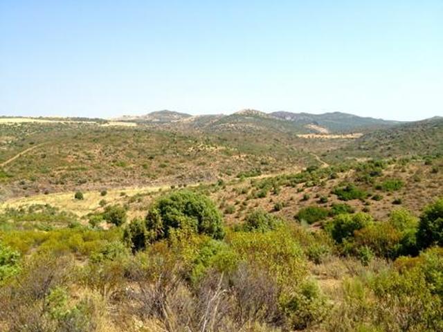 Terreno en venta en La Puerta de Segura, Puerta de Segura La photo 0