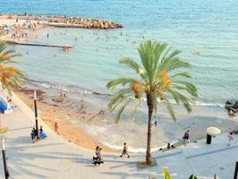 Aticos en venta en Torrevieja, Playa del Cura photo 0