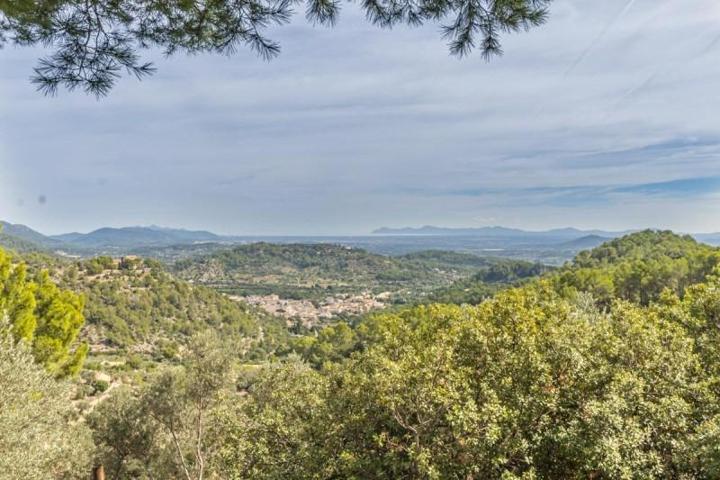 Chalet en venta en Mancor de la Vall, Mancor de la Vall photo 0