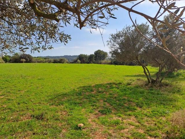 Terreno en venta en Terrassa, Terrassa photo 0