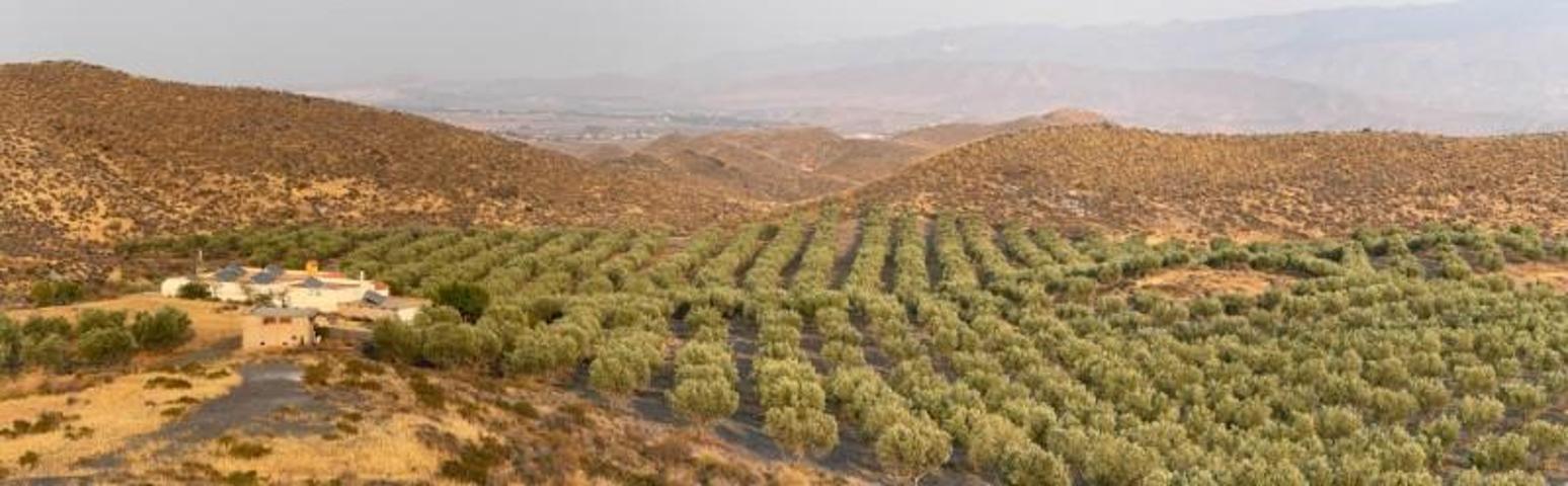 Chalet en venta en Tabernas, Andalucia photo 0