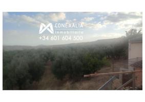 Chalet en venta en Setenil de las Bodegas, Setenil photo 0