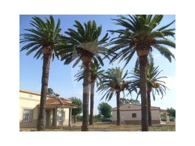 Chalet en venta en Badajoz photo 0