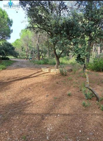 Terreno en venta en Albacete, Pinares del Júcar photo 0