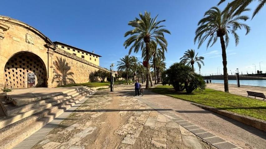 Piso en venta en Mallorca, Sa Calatrava photo 0