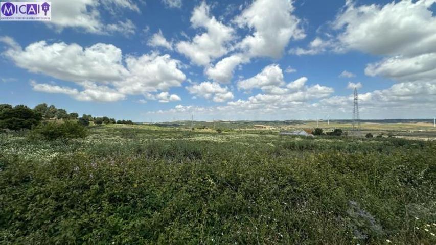 Terreno en venta en Medina Sidonia, South of spain photo 0