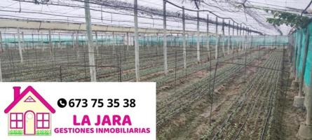Terreno en venta en Sanlúcar de Barrameda, Camino del Hato, 11540 photo 0