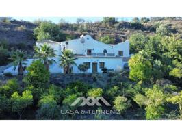 Local comercial en venta en Sedella photo 0