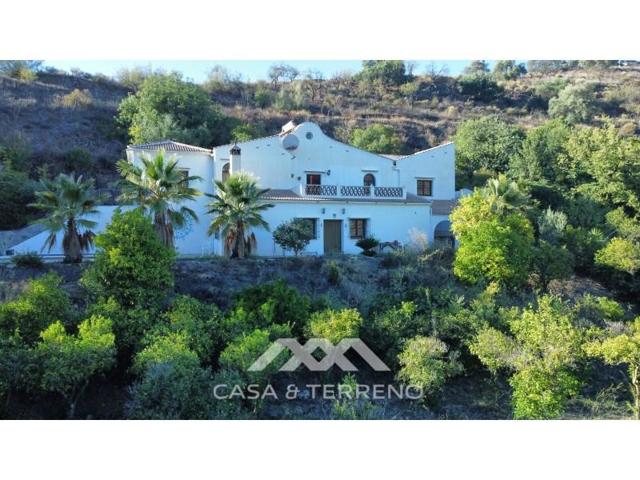 Local comercial en venta en Sedella photo 0