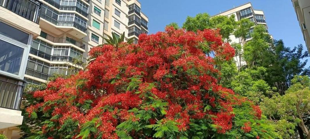 Apartamento en venta en Santa Cruz de Tenerife, Santa Cruz de Tenerife photo 0