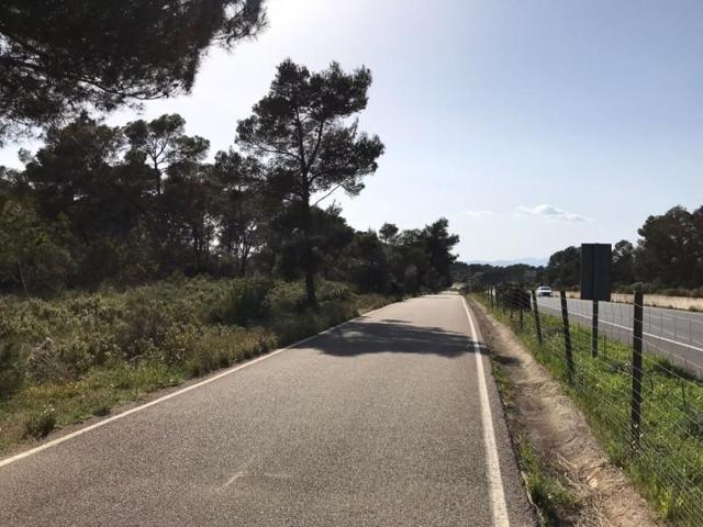 Terreno en venta en Algaida, Son gual photo 0