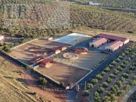 Local comercial en venta en Bailén, Otros photo 0