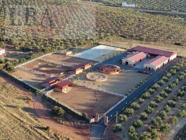 Local comercial en venta en Bailén, Otros photo 0