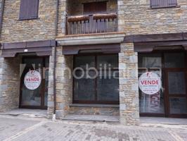 Local comercial en venta en Naut Aran photo 0