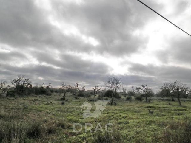 Terreno en venta en Santanyí photo 0
