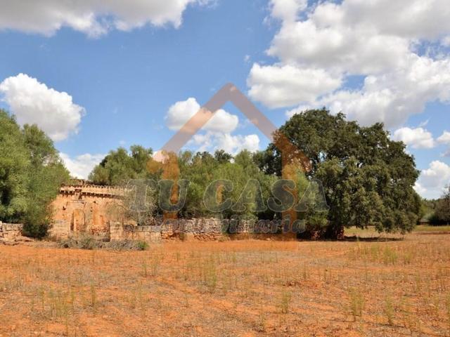 Chalet en venta en Algaida photo 0