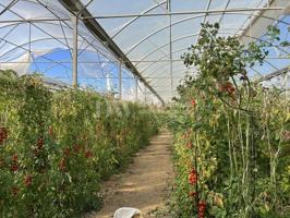 Terreno en venta en Algarrobo photo 0