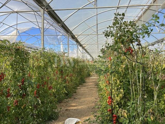 Terreno en venta en Algarrobo photo 0