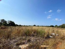 Terreno en venta en Campos, Área de Ses Salines photo 0