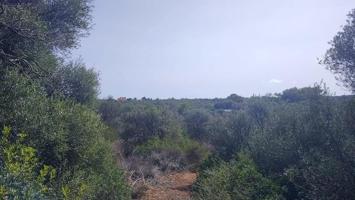 Terreno en venta en Felanitx, Portocolom photo 0