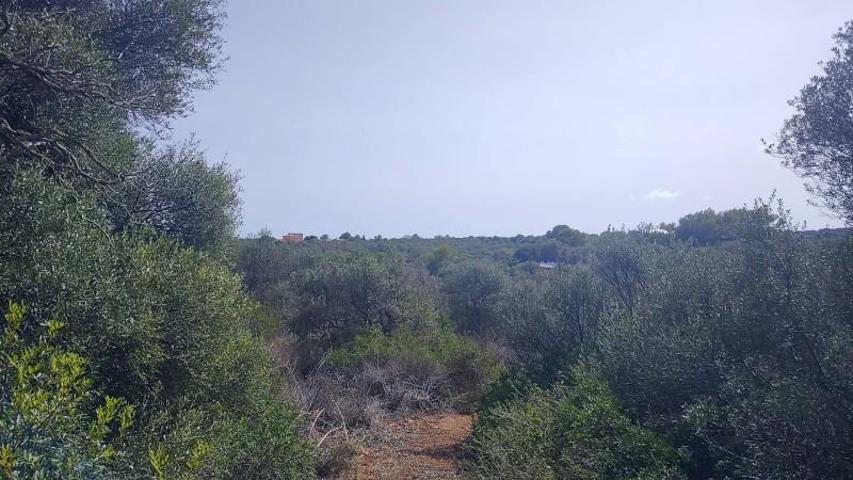 Terreno en venta en Felanitx, Portocolom photo 0