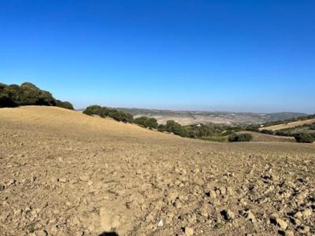 Chalet en venta en Vejer de la Frontera, Carretera de los soldados photo 0