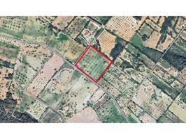 Terreno en venta en Santanyí photo 0