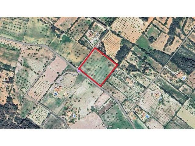 Terreno en venta en Santanyí photo 0