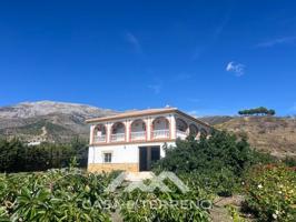 Local comercial en venta en Sedella photo 0