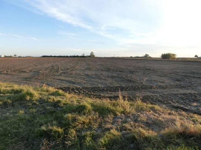 Chalet en venta en Sant Carles de la Ràpita, Ctra. poble nou del delt photo 0